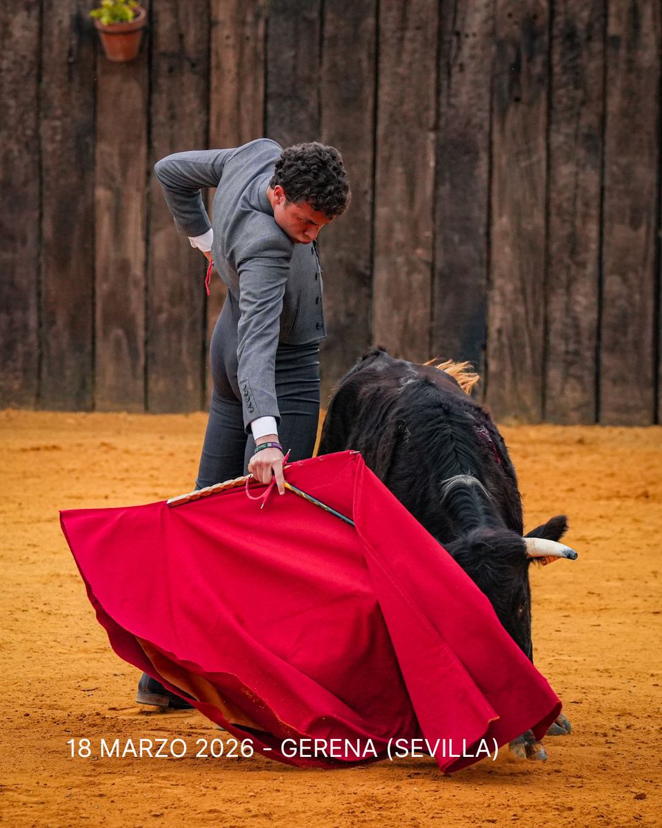 Servitoro tweet media