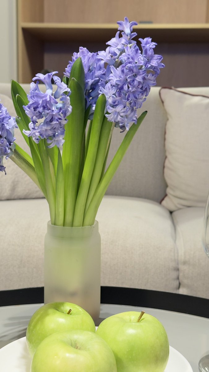 مجتبی ذوالفقاری tweet media