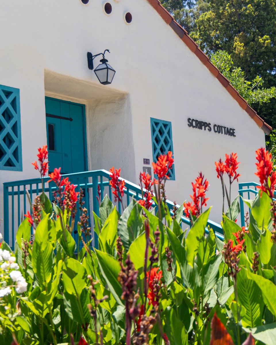 San Diego State University tweet media