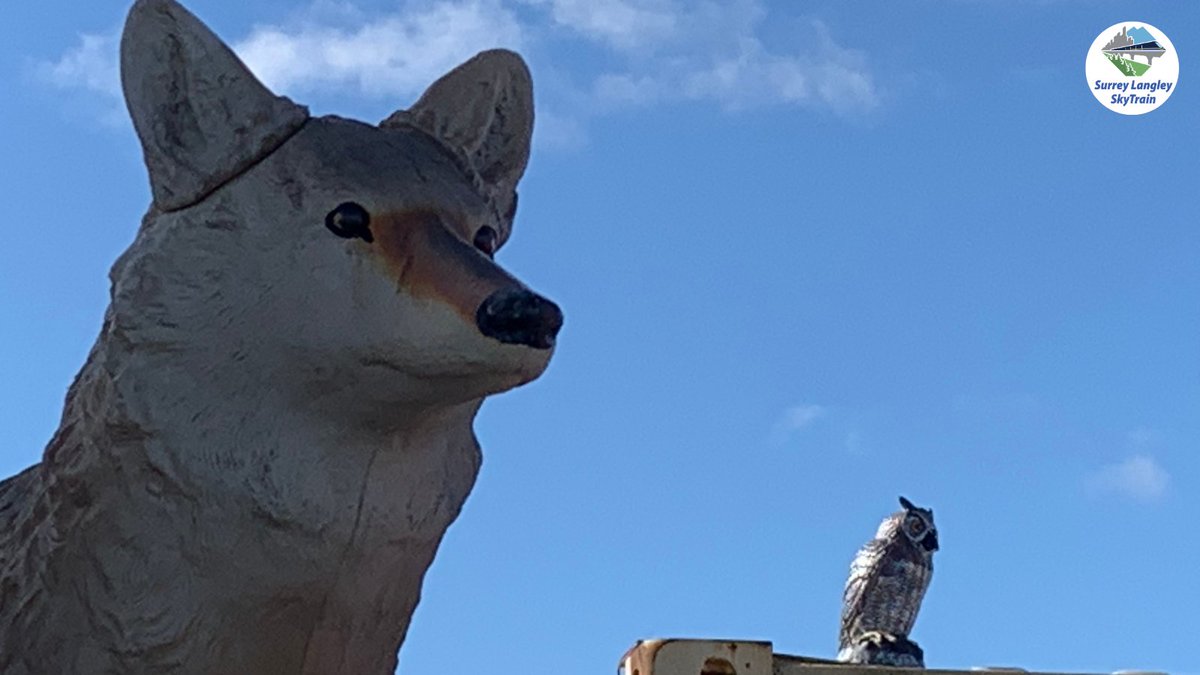 Surrey Langley SkyTrain tweet media