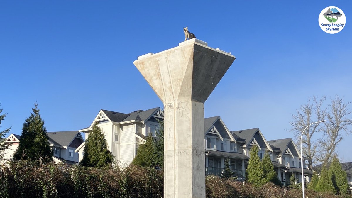 Surrey Langley SkyTrain tweet media
