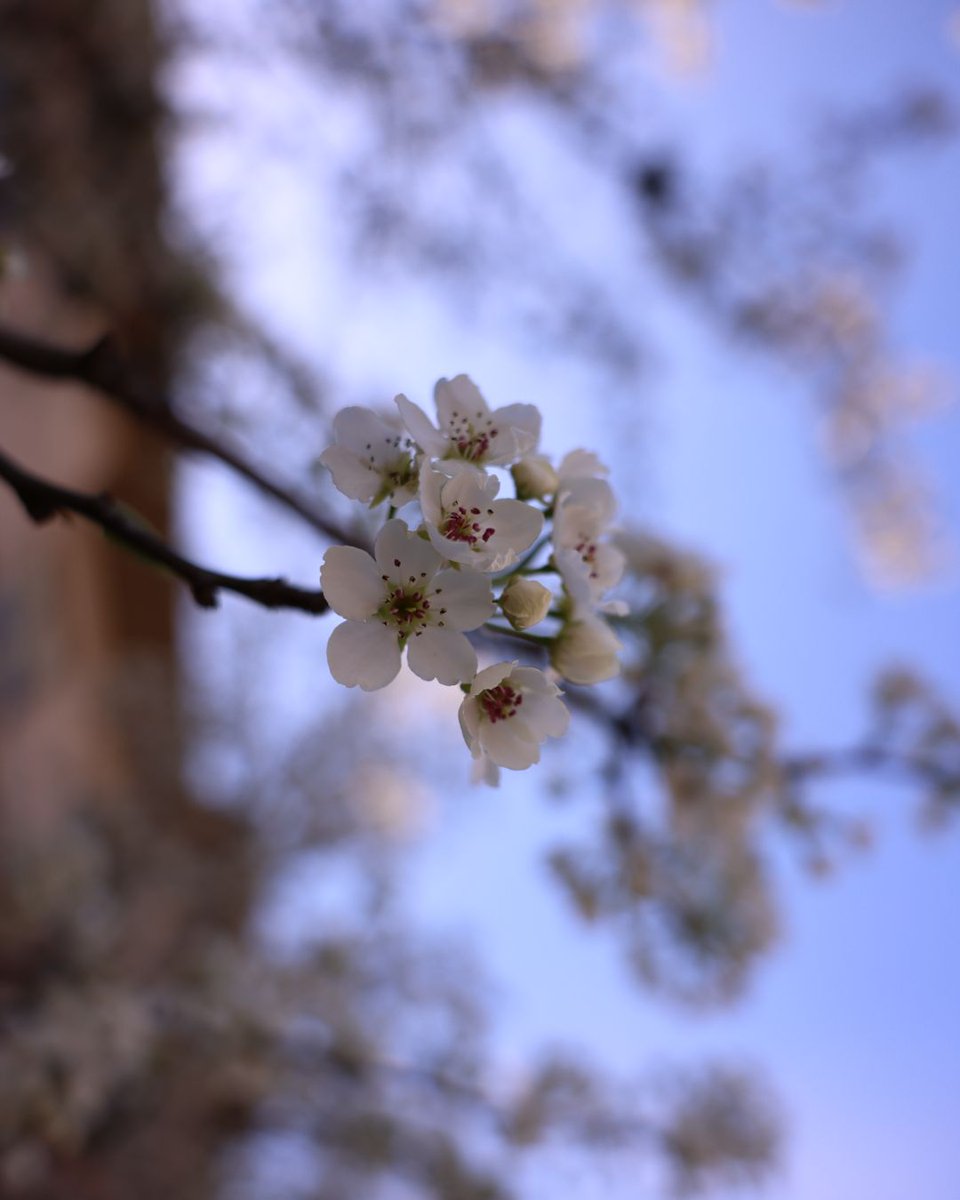 Lawrence Tech tweet media