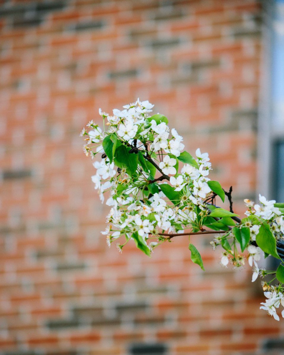 Lawrence Tech tweet media