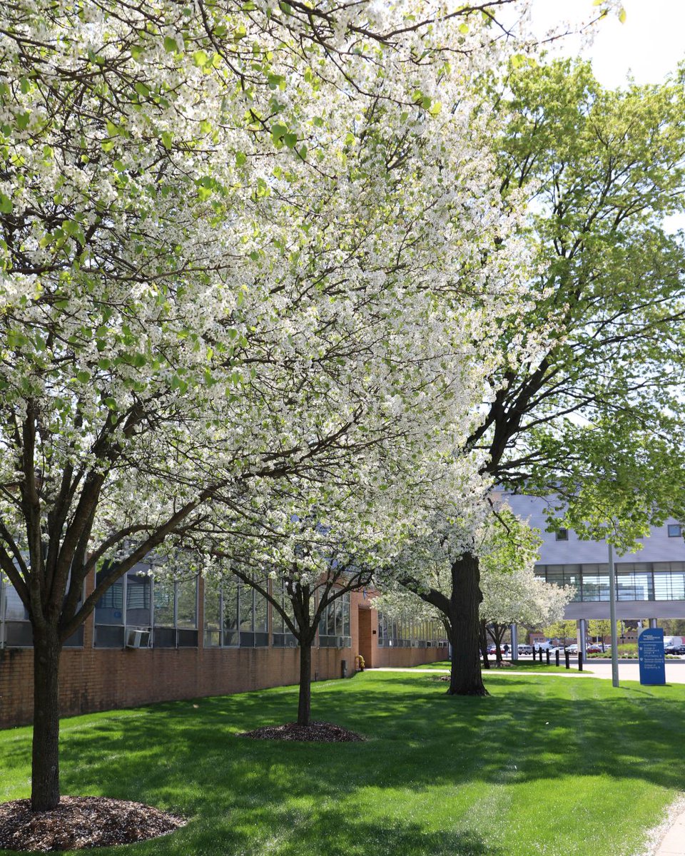 Lawrence Tech tweet media