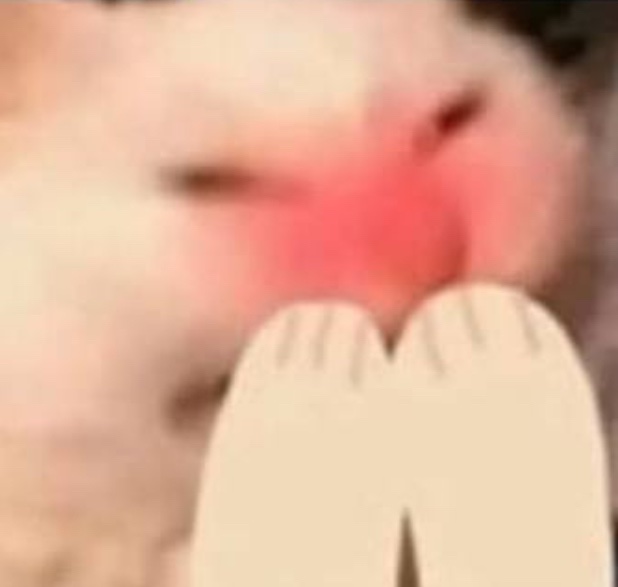 Elephunkz tweet media