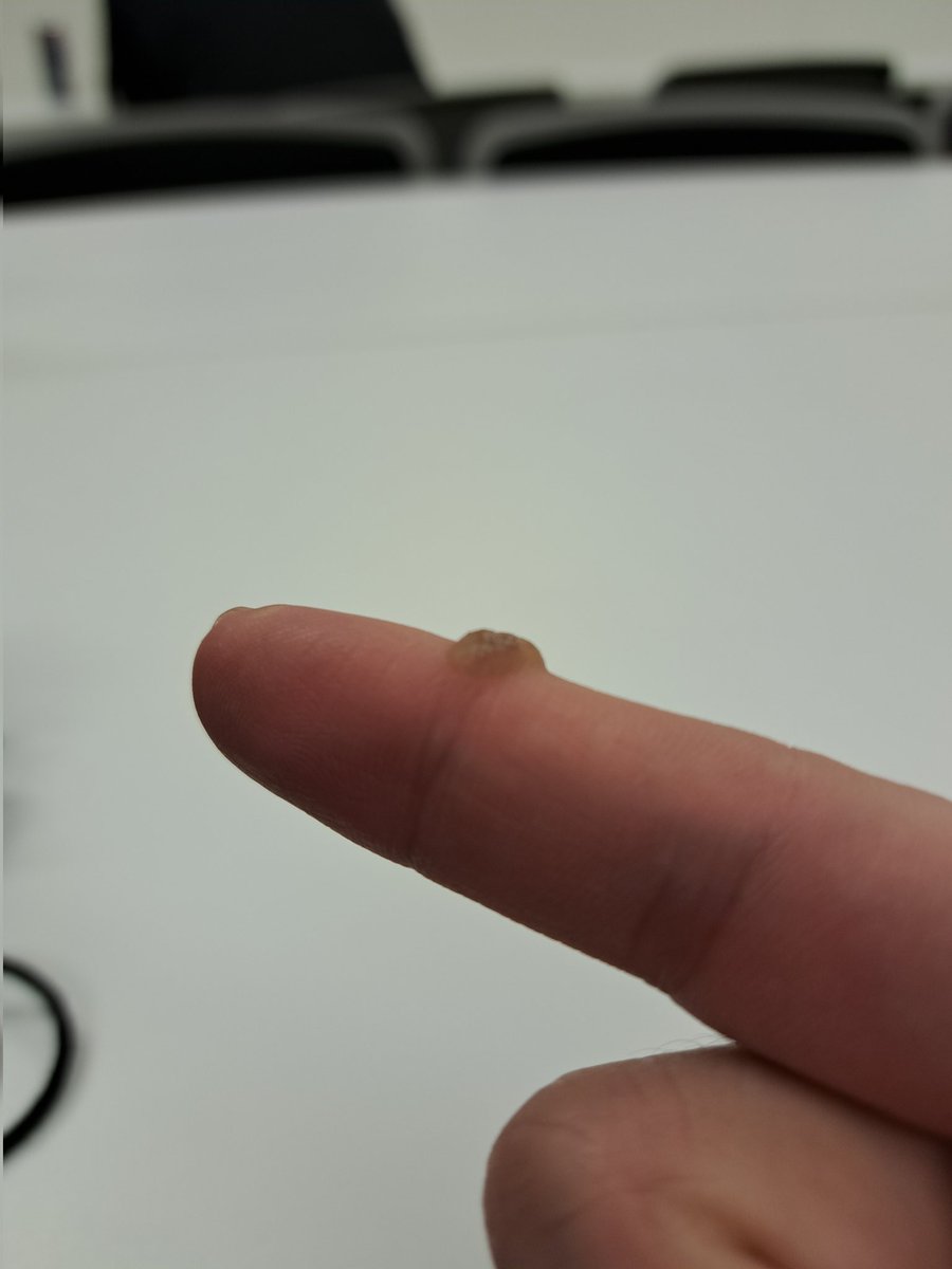 寝る(NeLuu) tweet media