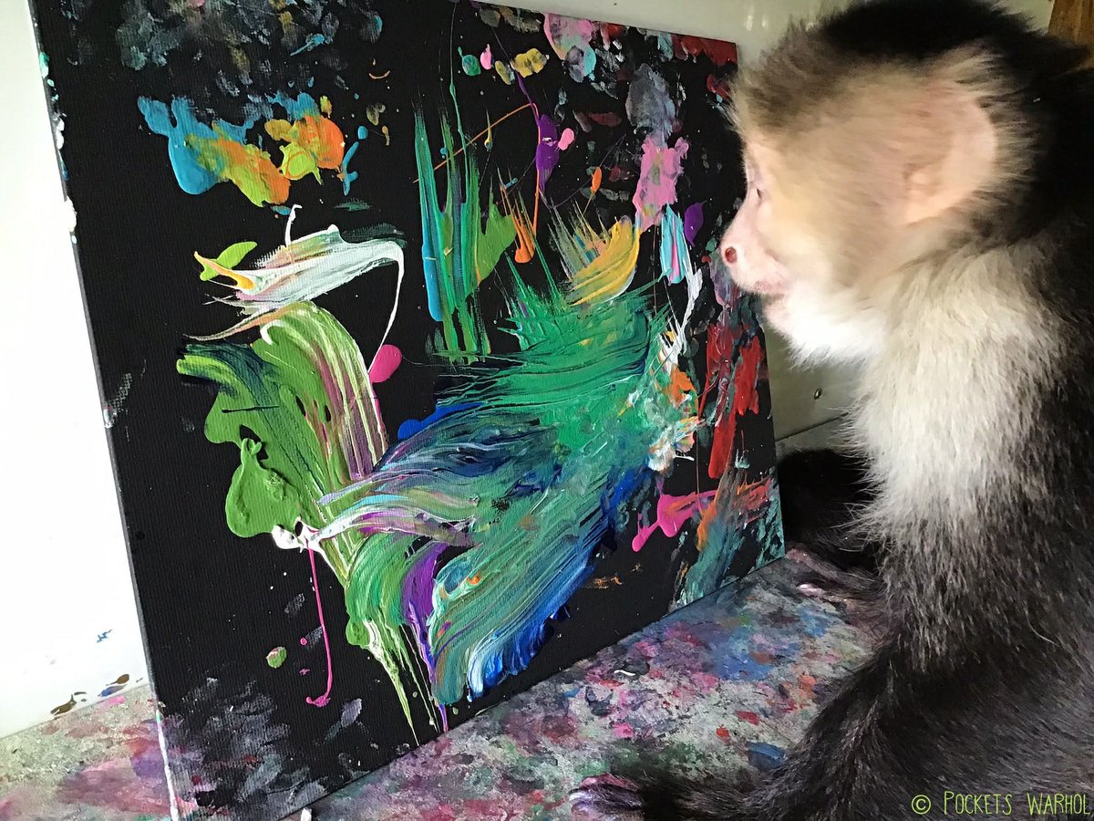 Pockets Warhol tweet media