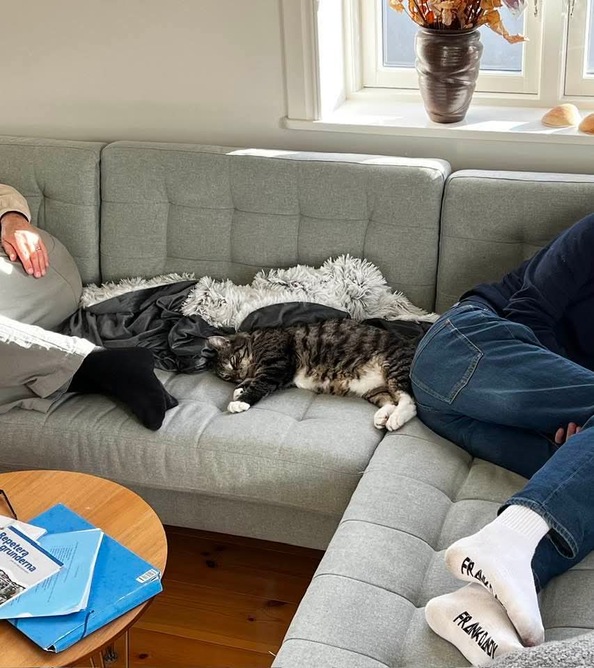 Anders Hagman tweet media