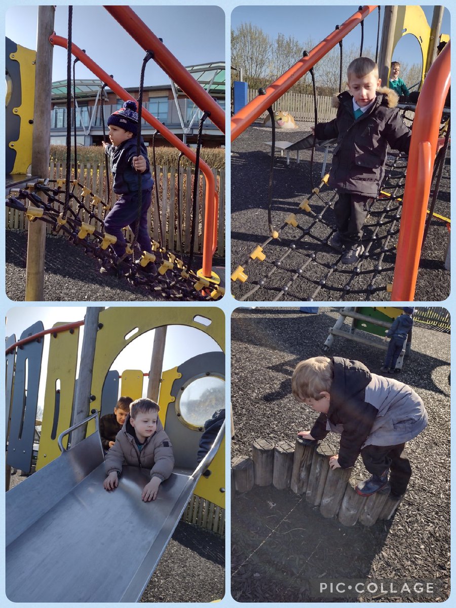 CPickering Primary tweet media