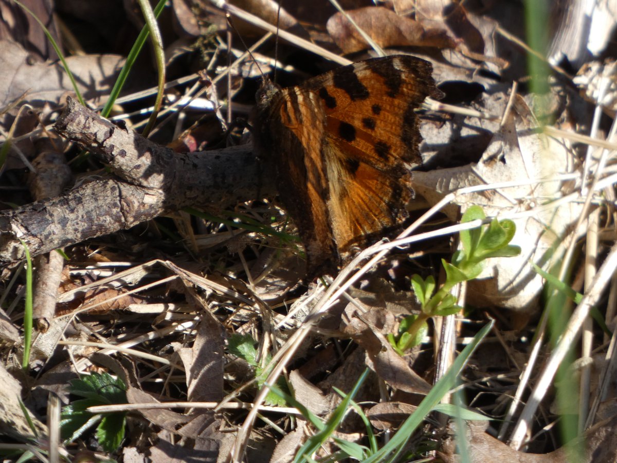 James Timms tweet media