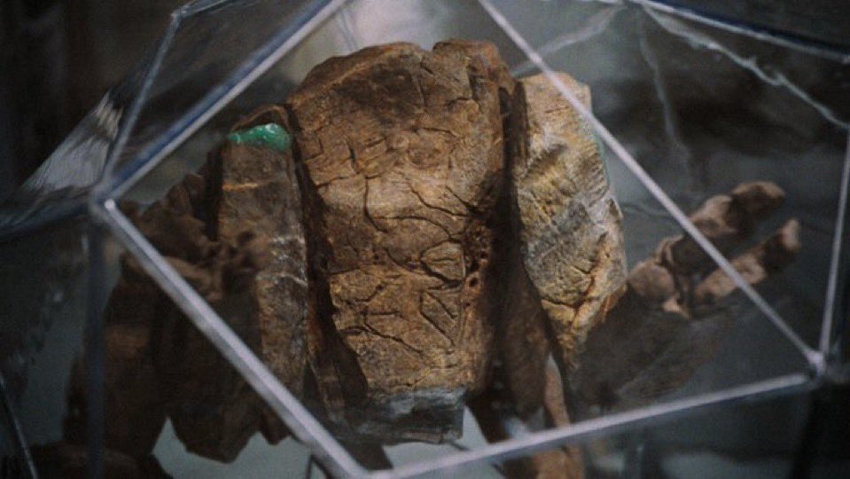 Courtney Howard tweet media