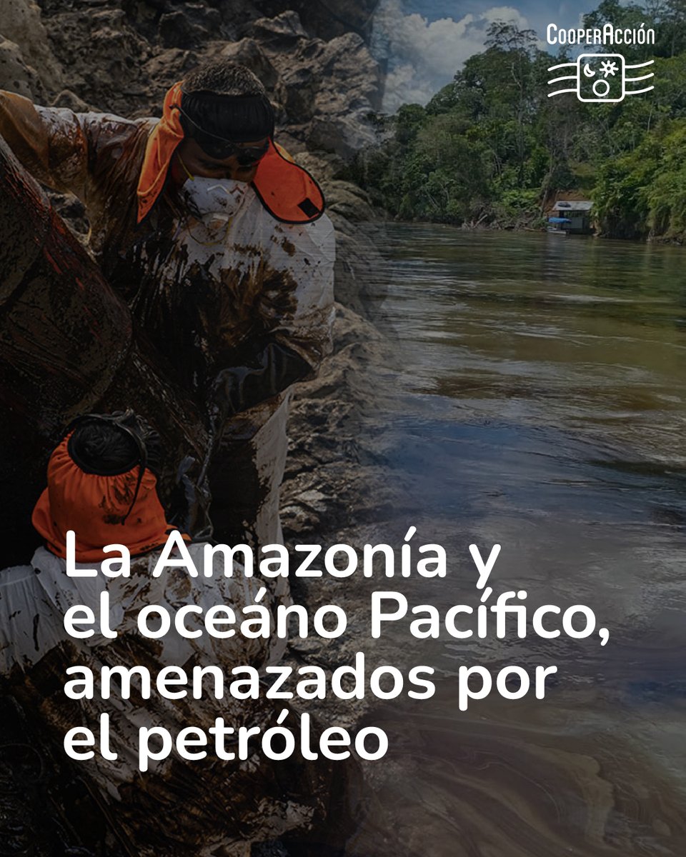 CooperAccion tweet media