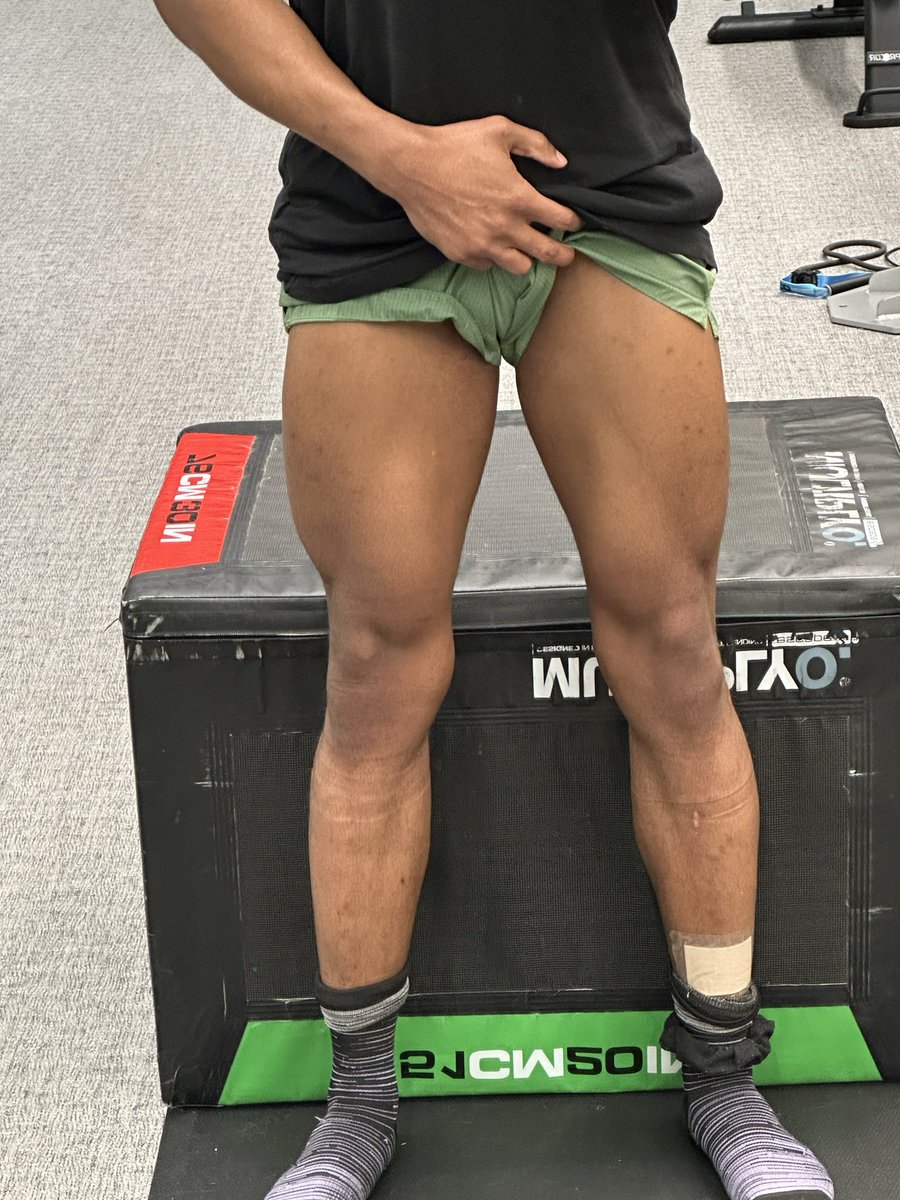 Big Usagi the Muscle Waifu 🔜 Flavortown tweet media