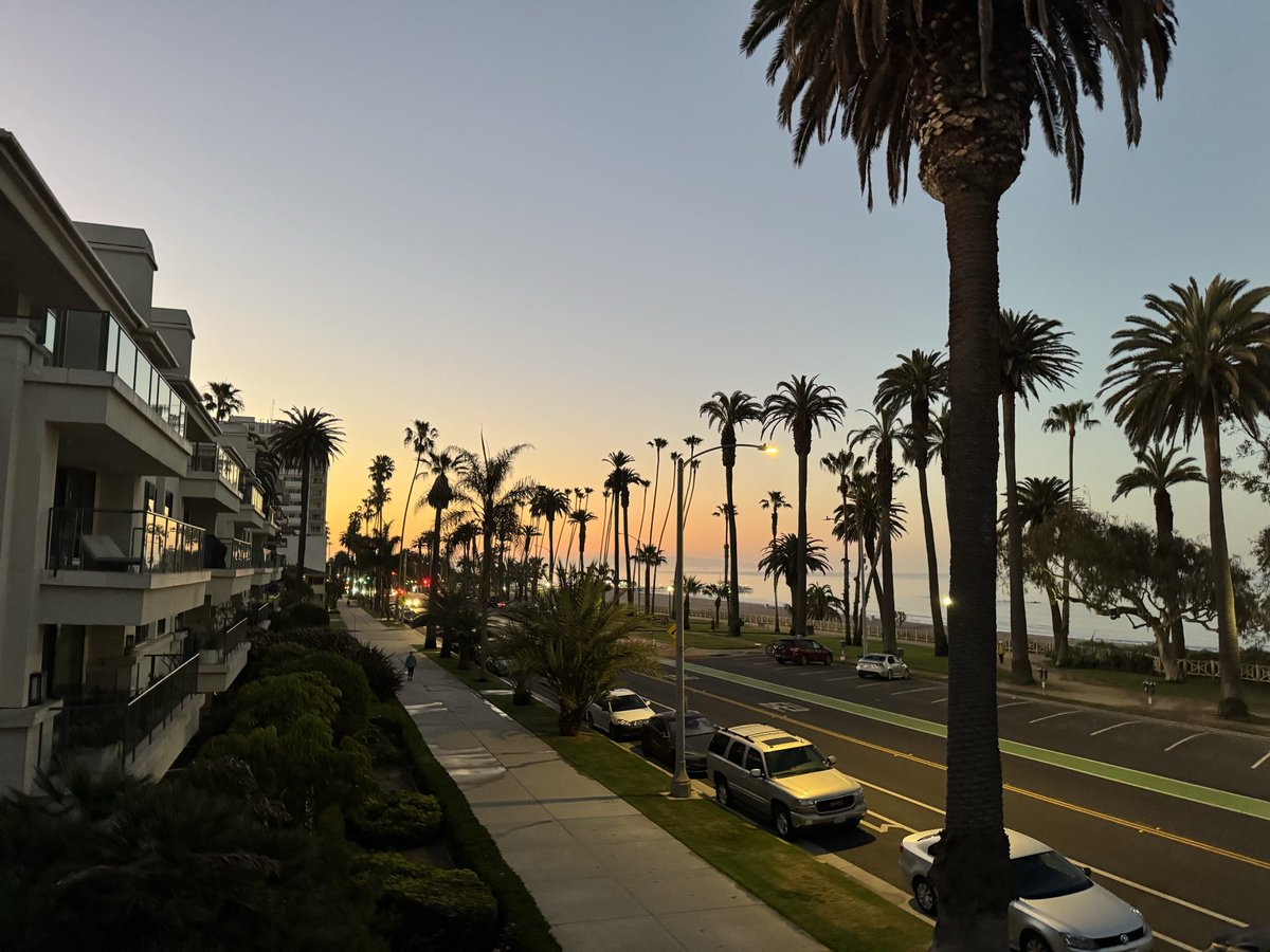 Tom Hall ☘️ tweet media