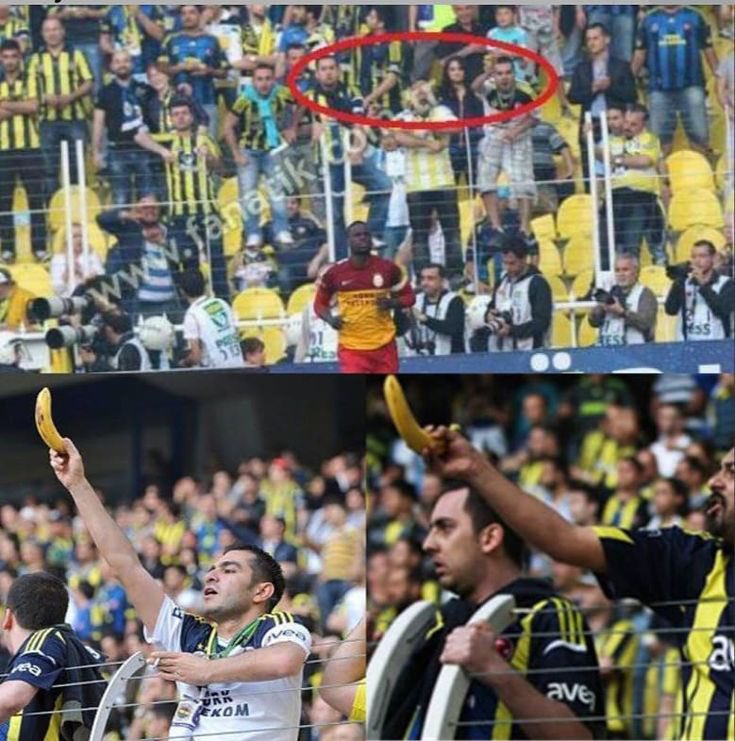 Menekşe Ataselim tweet media