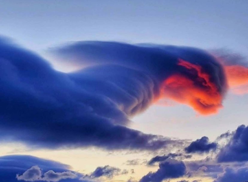 Truth Pixie tweet media