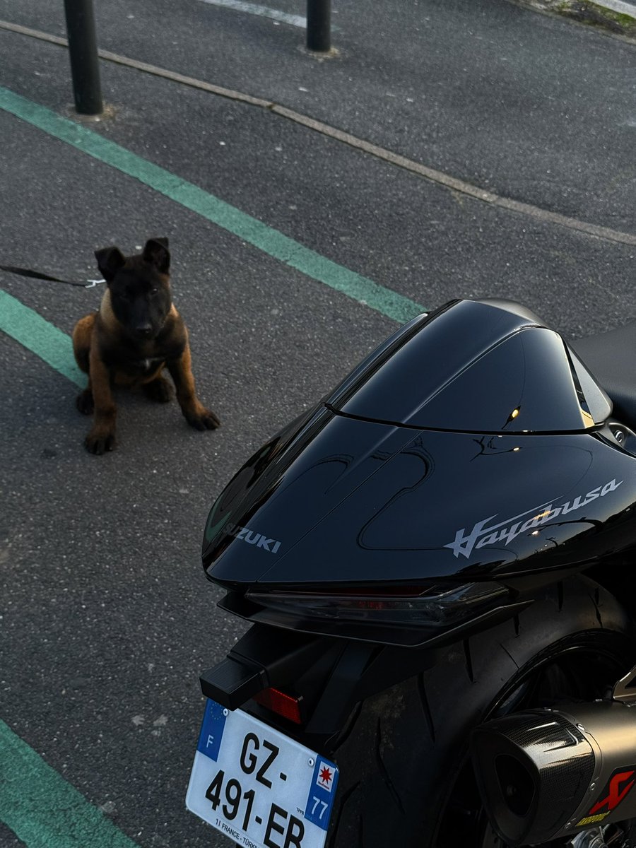 R1_nsy's tweet photo. Un monstre et un bébé monstre https://t.co/F8fl9cQIYA
