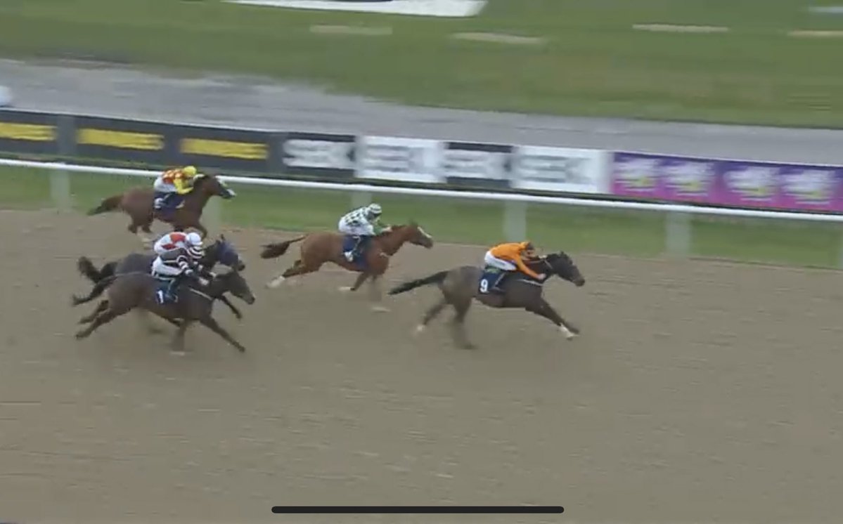 ProTipster tweet media