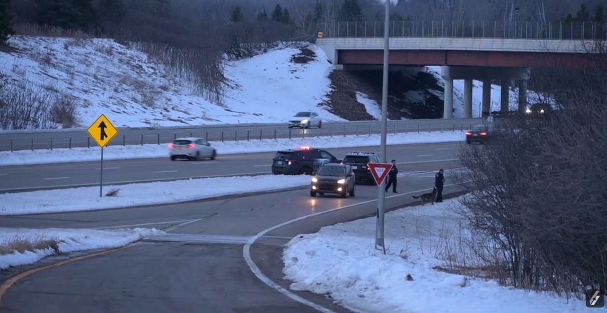 Limitless Media tweet media