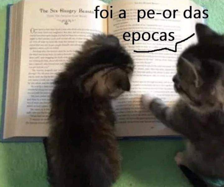 A Página Confusa tweet media