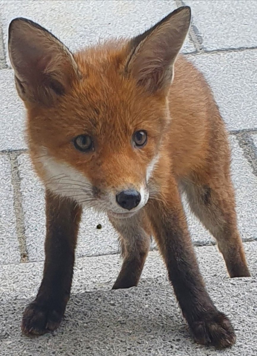 Siobhean 🖤 tweet media