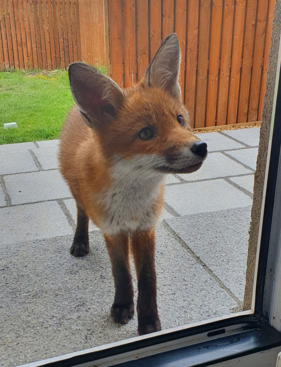 Siobhean 🖤 tweet media