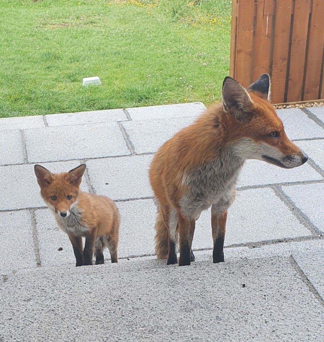 Siobhean 🖤 tweet media