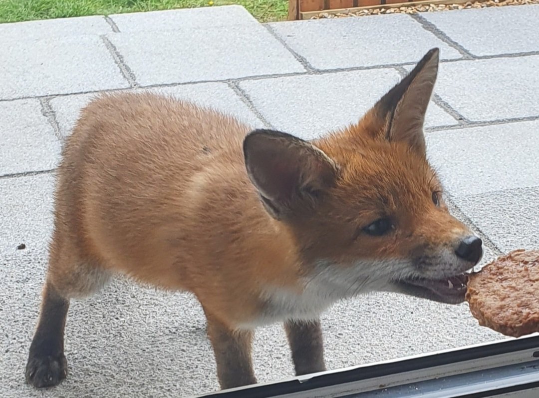 Siobhean 🖤 tweet media