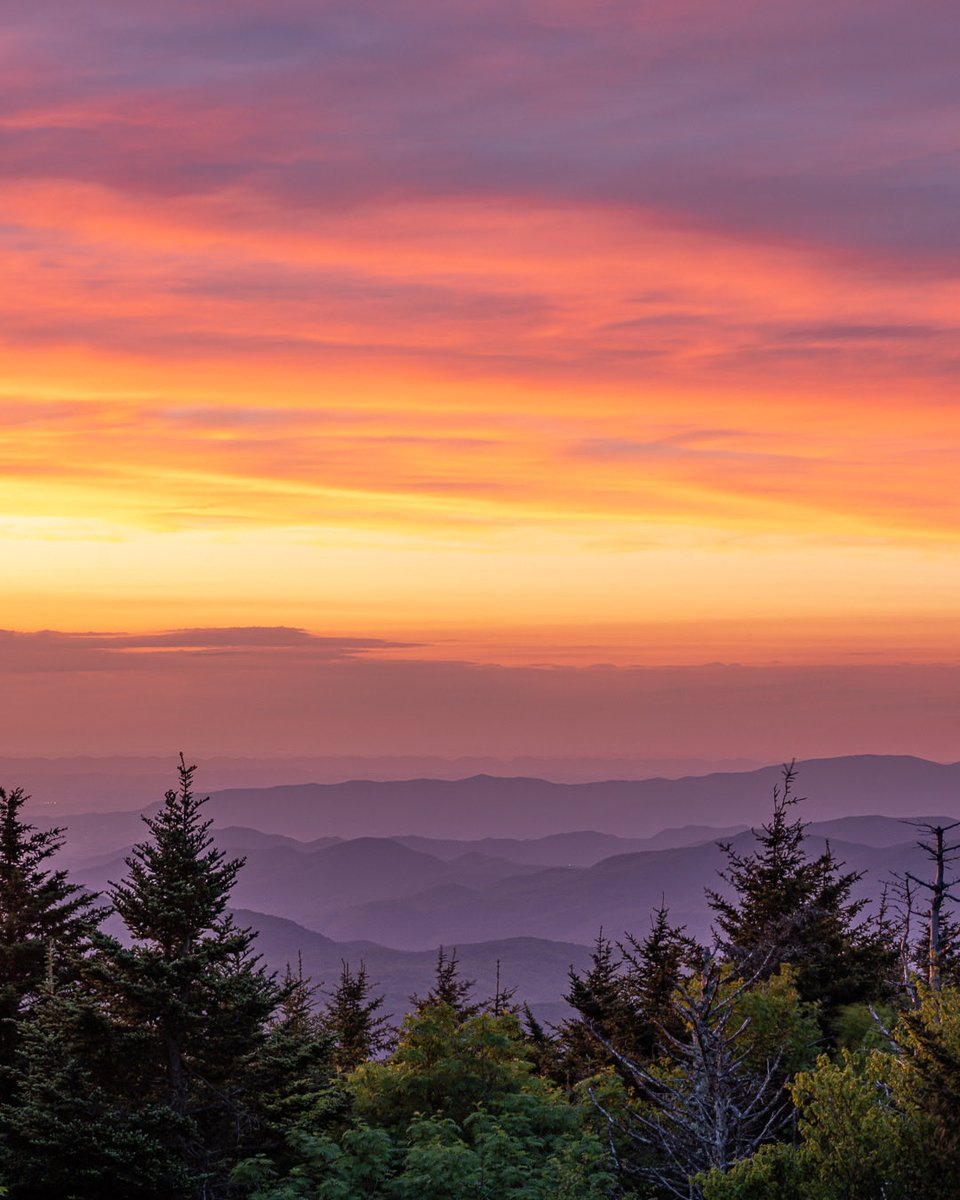 Asheville Pictures tweet media