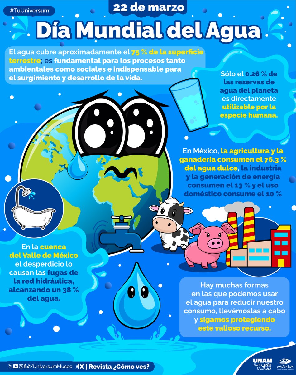 Universum Museo tweet media