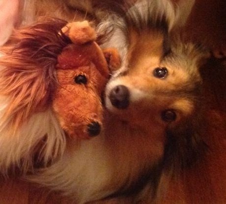 winnie the kid 👾 tweet media