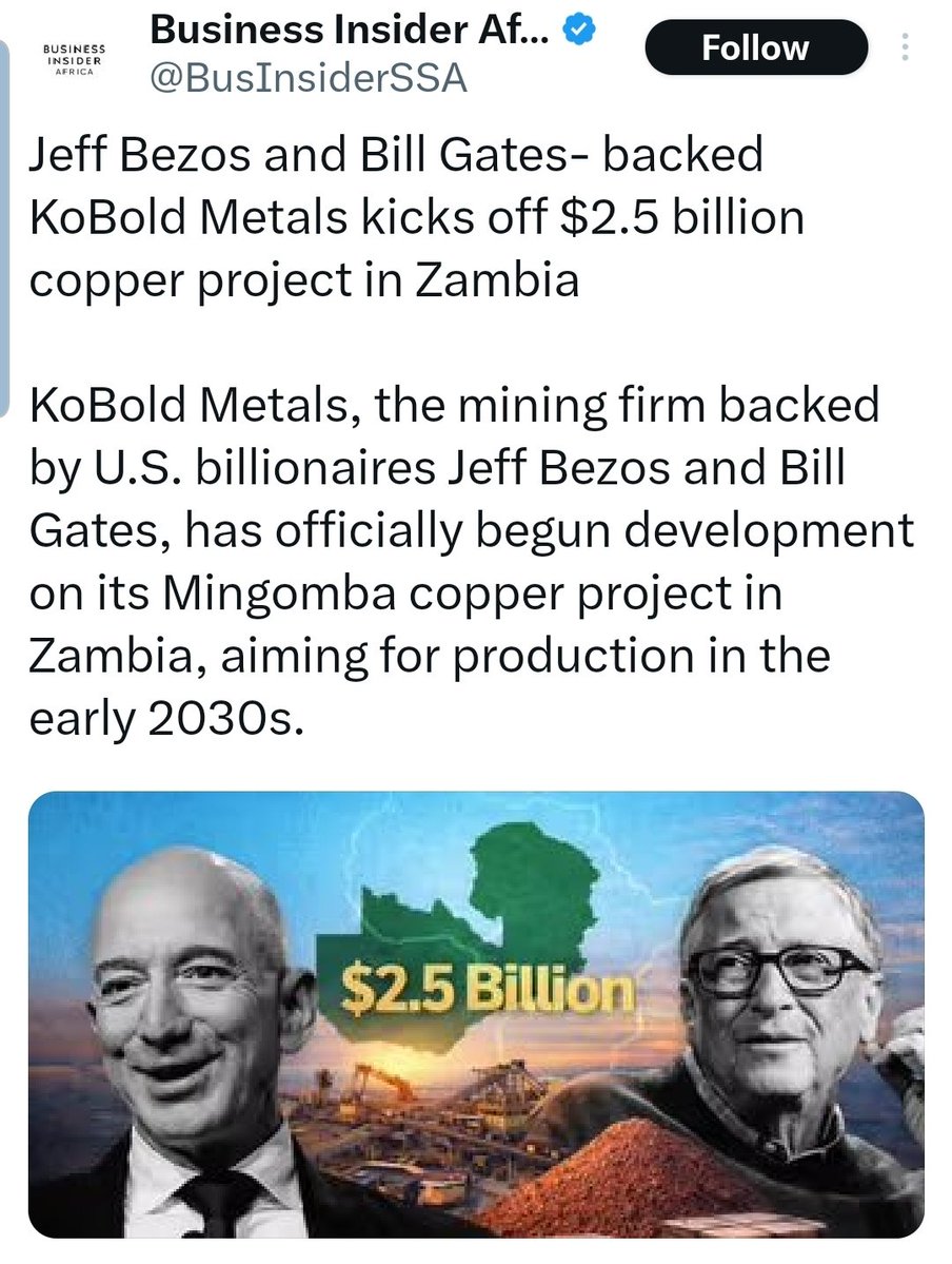 plant a tree 🌱 tweet media