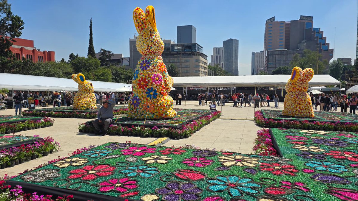 POSTA CDMX tweet media