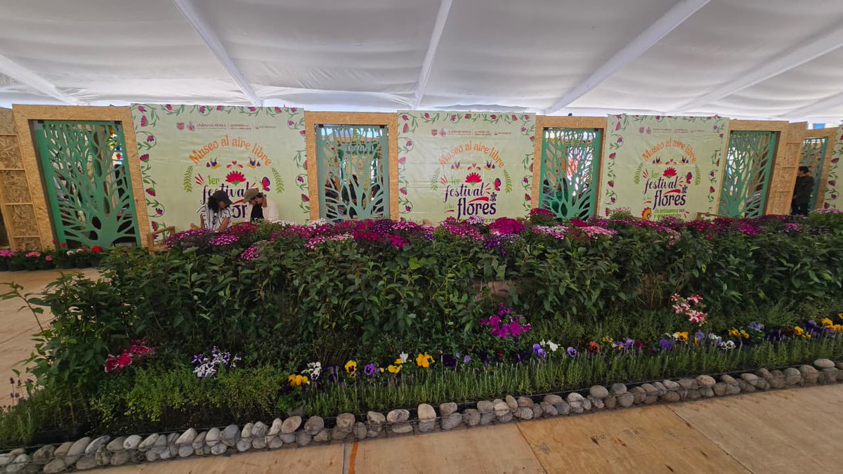 POSTA CDMX tweet media