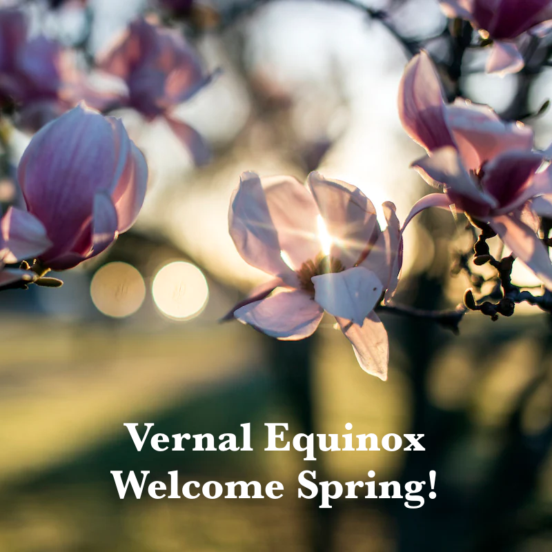SoSMtweets's tweet photo. Spring has come! It arrived with the Spring Equinox (also called the Vernal Equinox) today in the Northern Hemisphere at 10:46 a.m. Eastern Time. Blessings to all during this change in the seasons!
Read more: https://t.co/JWJ9S4WVbW https://t.co/Yjboe7yp5s