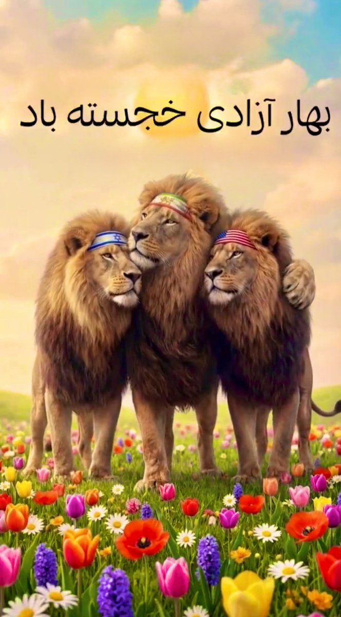 Shlomo (ُاِشلُومو) BenShiraz tweet media