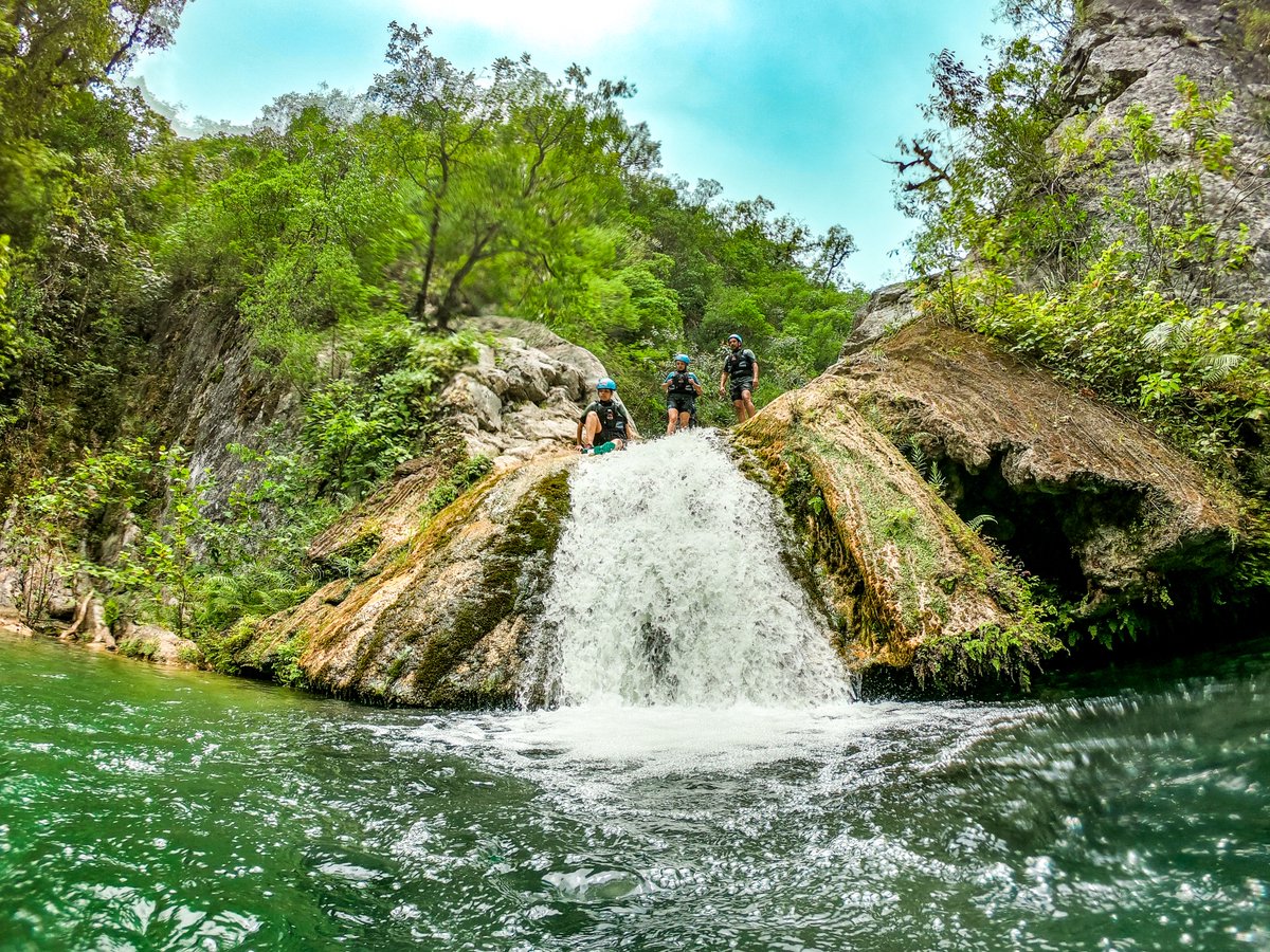 Visit México tweet media