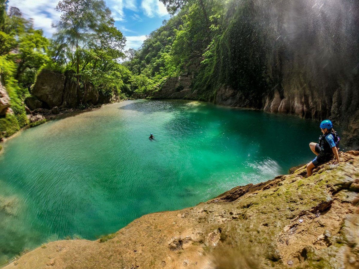 Visit México tweet media