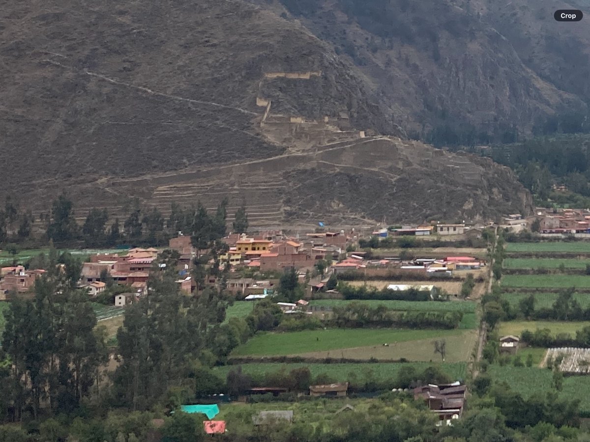 sightseervideo tweet media