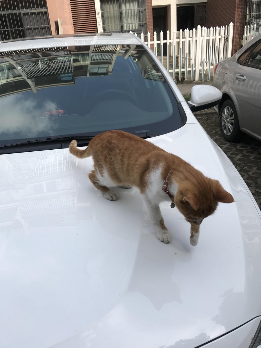 Guy Hirst tweet media