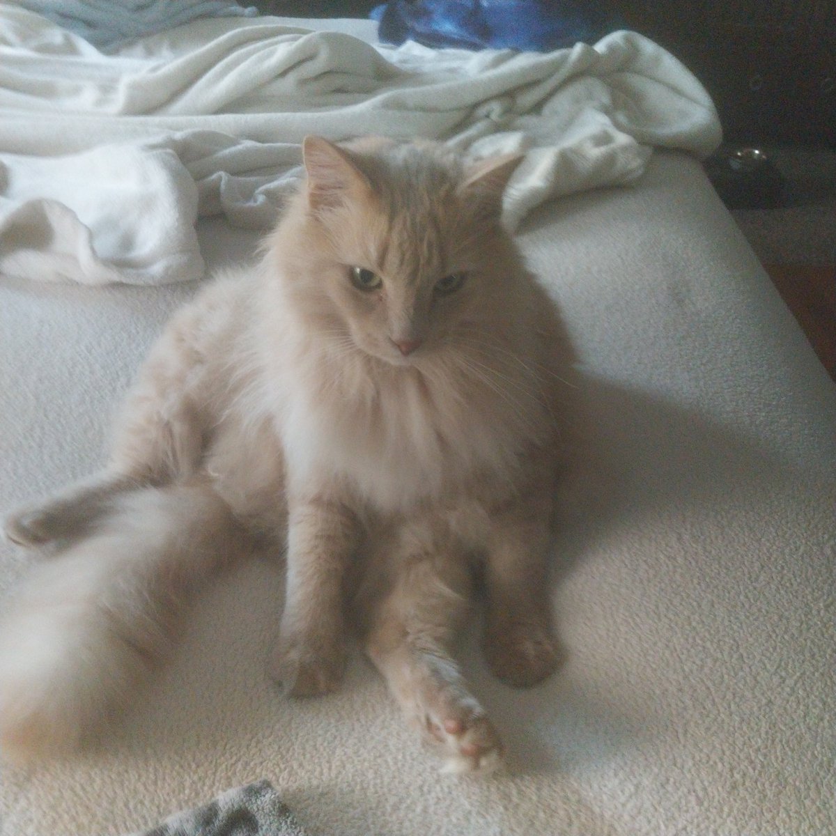 sunshine4life tweet media