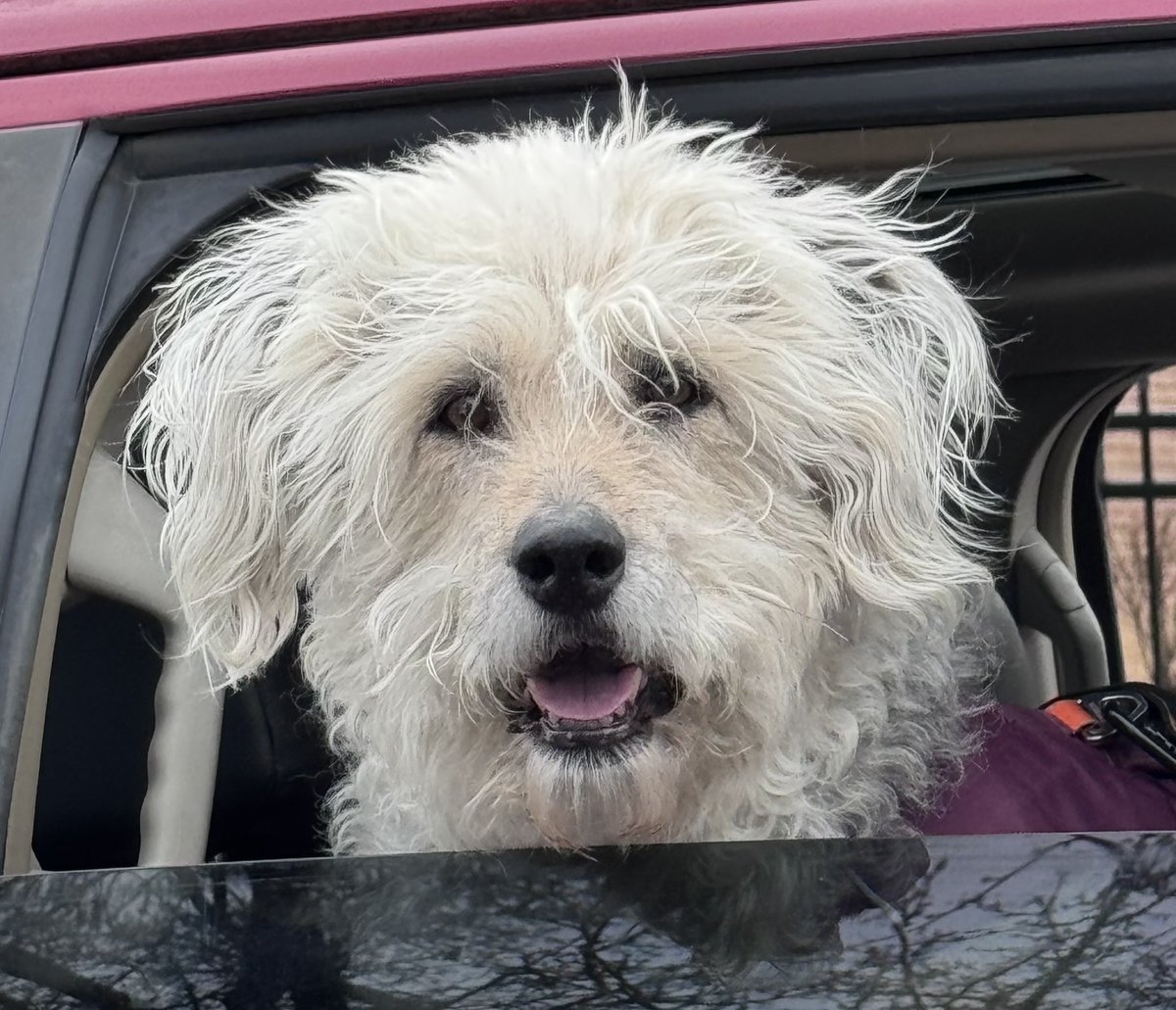 It'sWill😎 tweet media