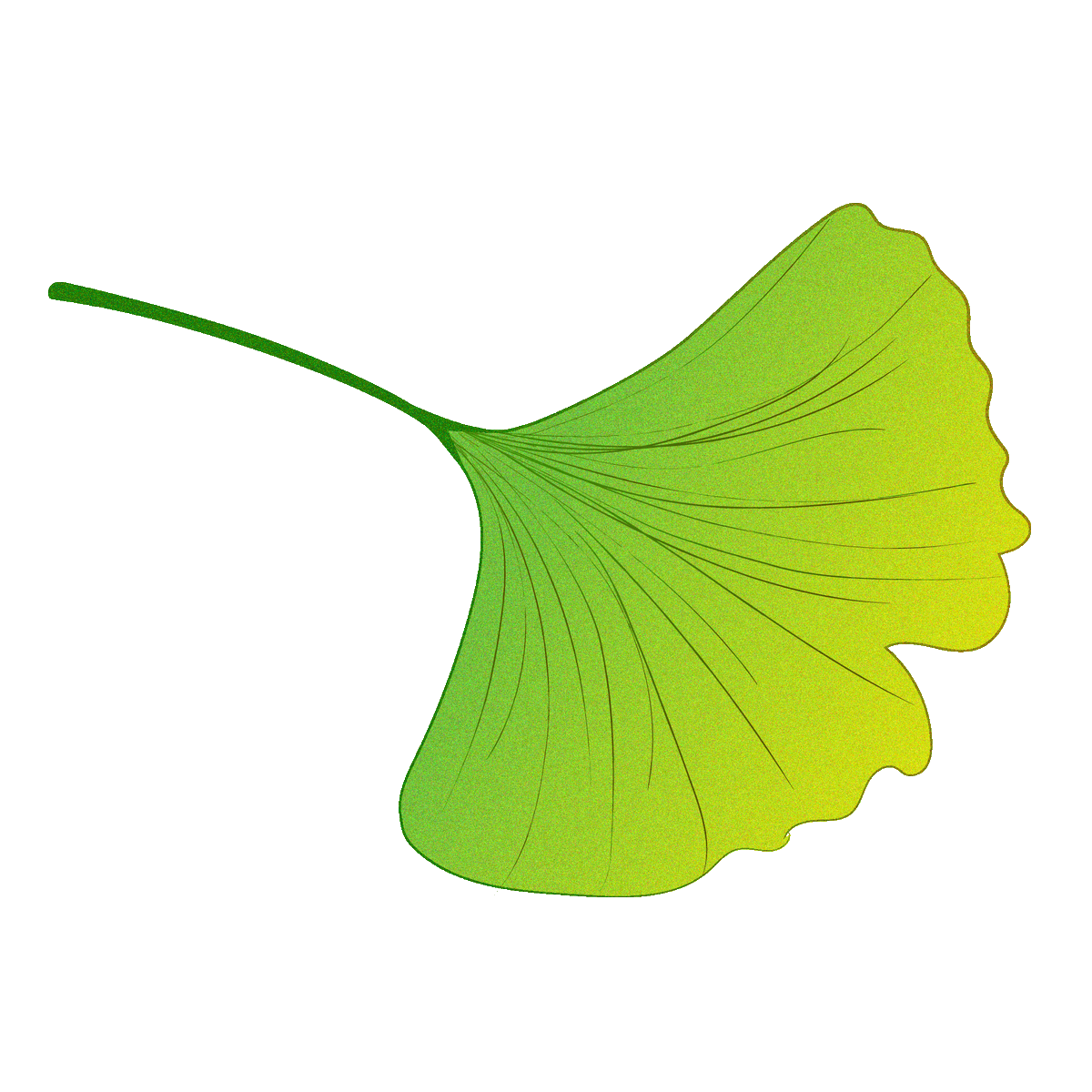 david cunningham tweet media