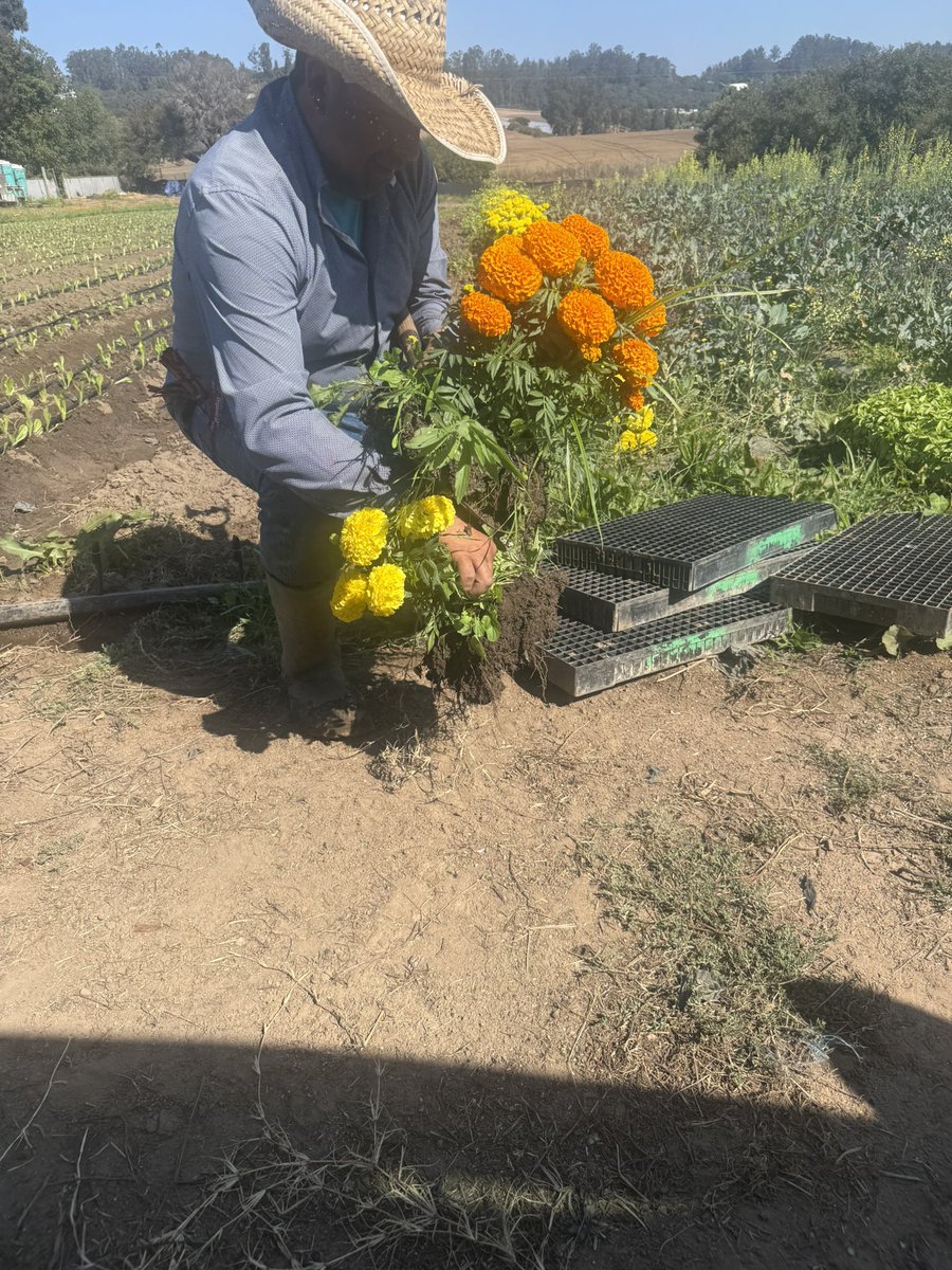 RawQuantum tweet media