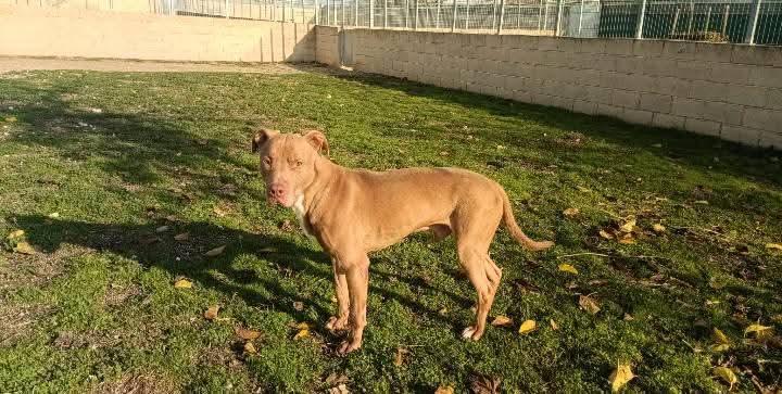 silvia mensegar tweet media