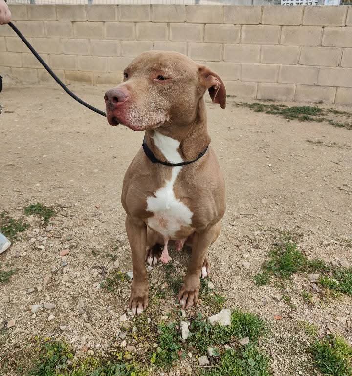 silvia mensegar tweet media