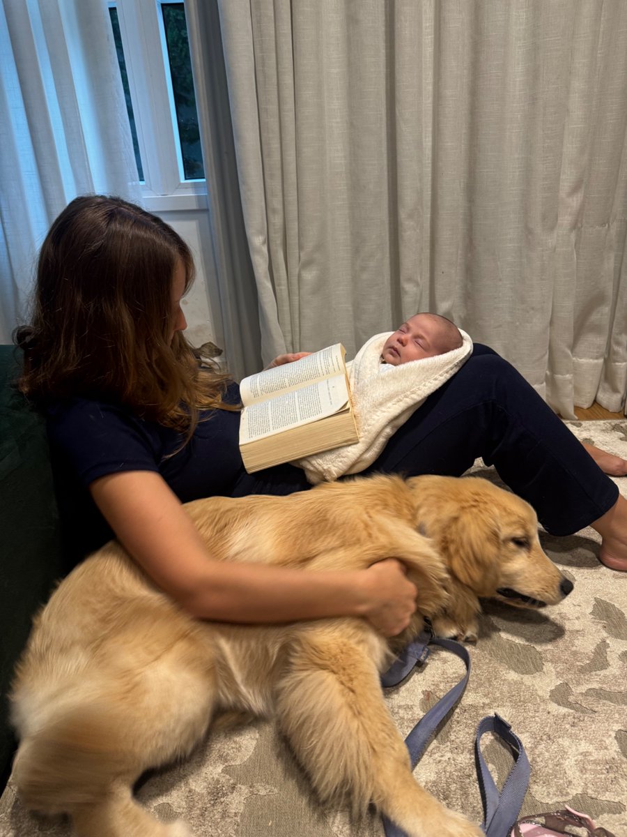 André Costa tweet media