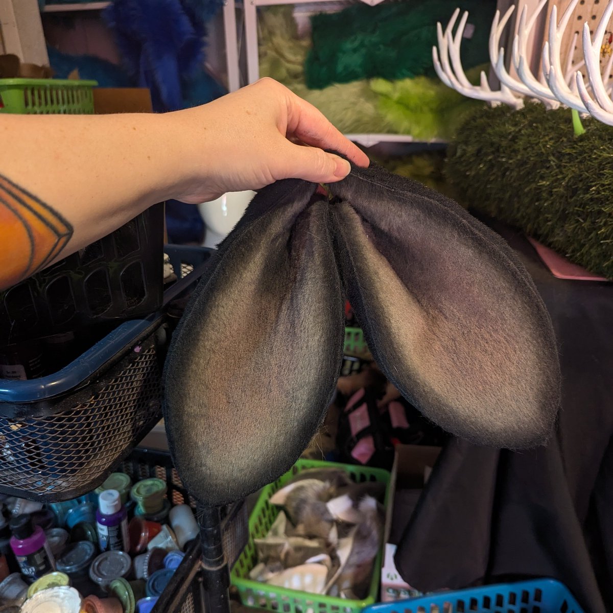 AnthroAesthetic 🔜TFF🔜 AC🔜Denfur? tweet media