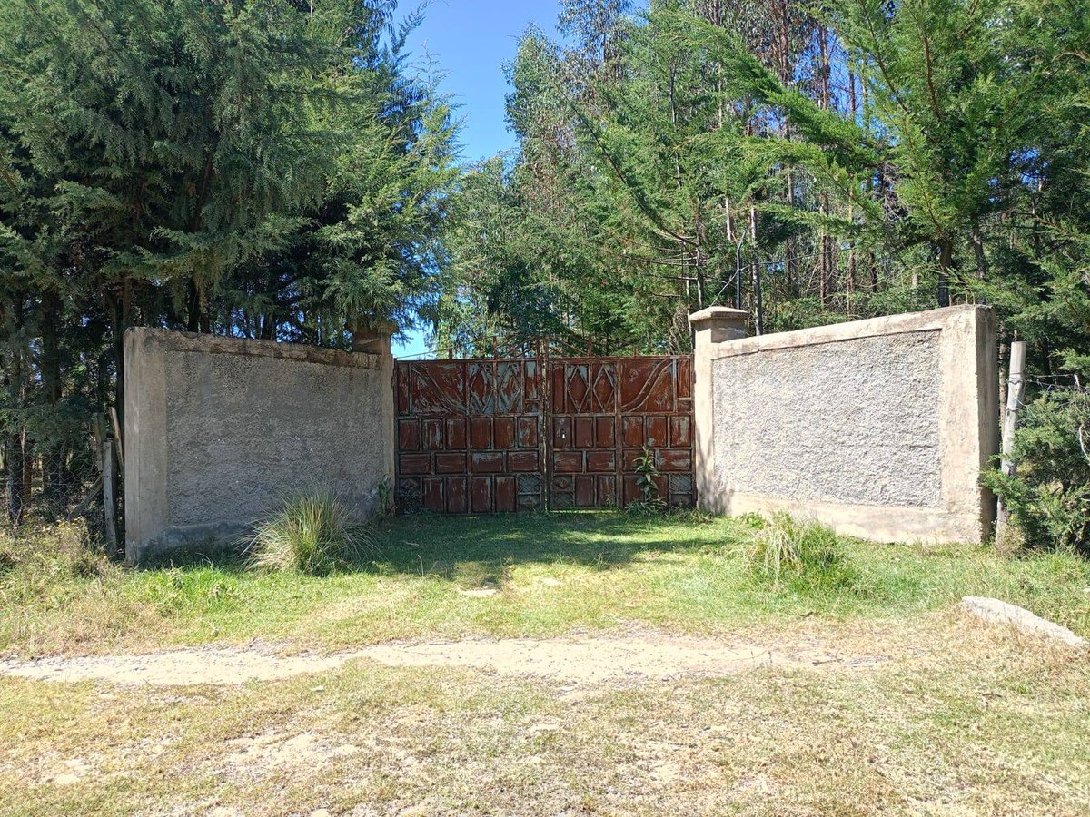 Ignatius tweet media