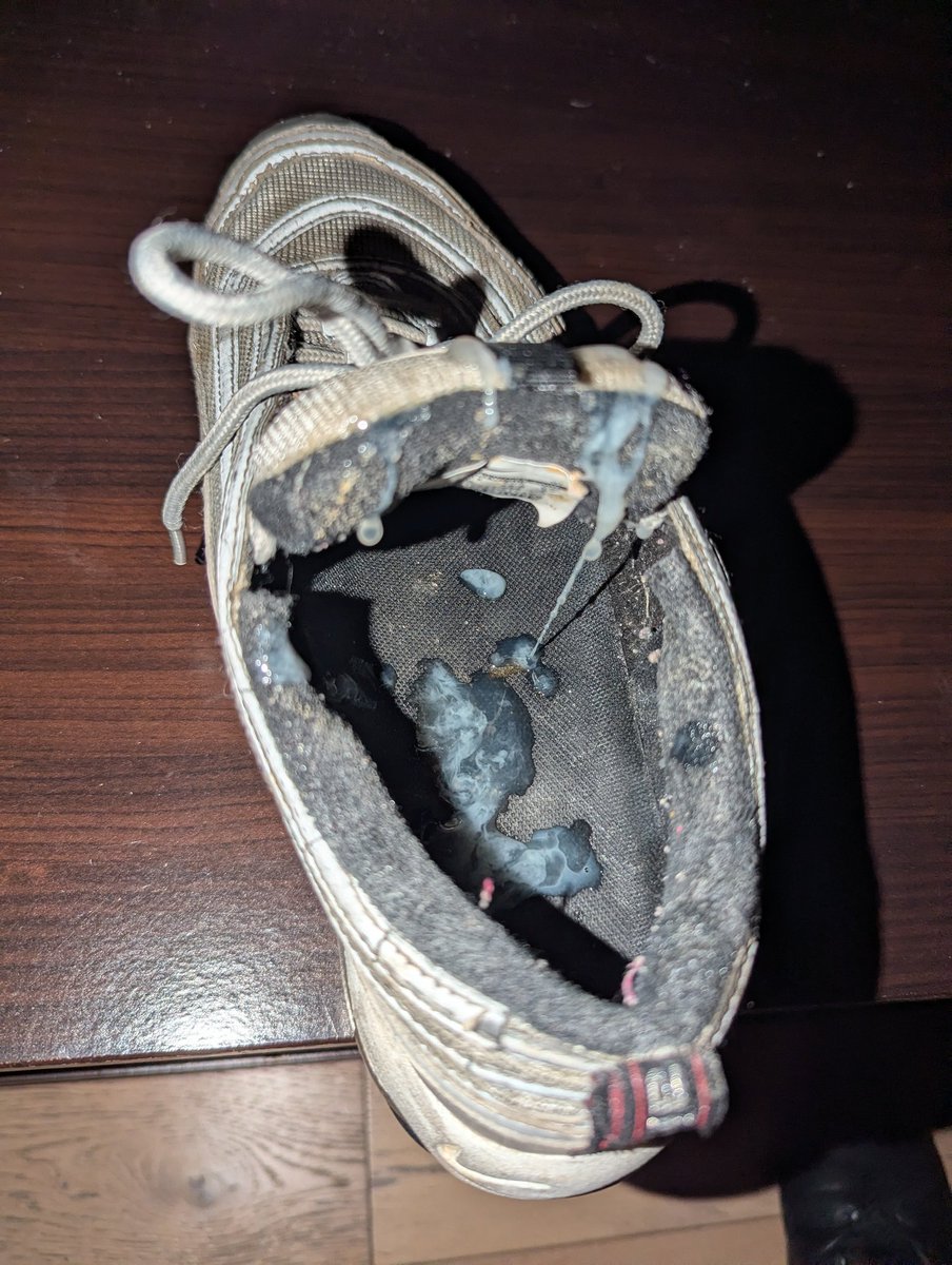 Yogo The Kinkster 🔜 where to? 🤔 tweet media